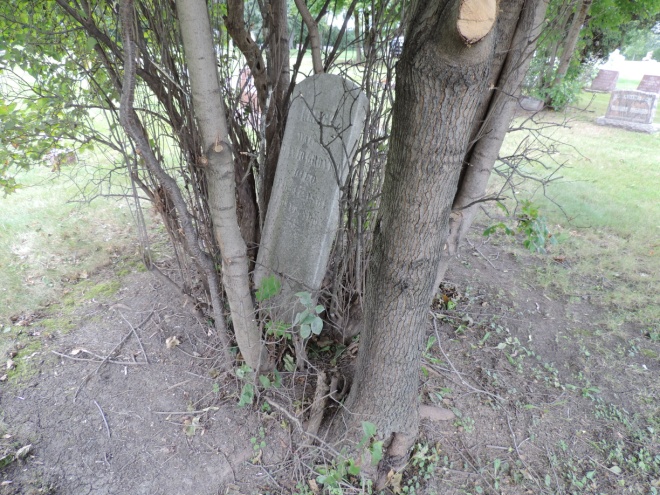 C:\Users\Vern\Pictures\Historical\Fort Hill Cemetery\2017-08-19 Fort Hill Cemetery Headstones\Grover, Nancy R12-220 4467.JPG